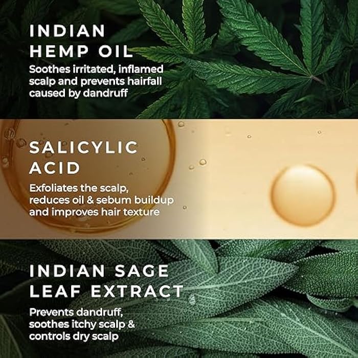Naturali شامبو مضاد للقشرة مع الميرمية وحمض الساليسيليك | شامبو خالي من الكبريتات والبارابين | يهدئ فروة الرأس الحاكة | يقشر فروة الرأس المتقشرة | يخفف الالتهاب | 200 مل - Image 3