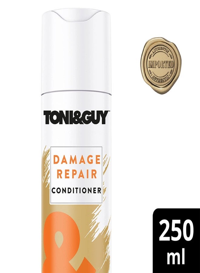 Toni & Guy TONY&GUYDamage Repair Strengthening Conditioner For Dry Damaged Hair, 250ml - Image 2