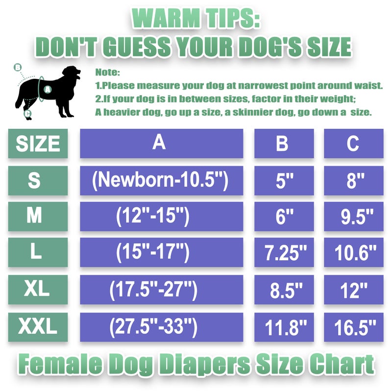 wegreeco Washable Reusable Premium Dog Diapers,Pack of 3,Small Dog Puppy & Doggy Diapers Female,Dog Period Panties Diapers Female in Heat Colourful S - Image 2