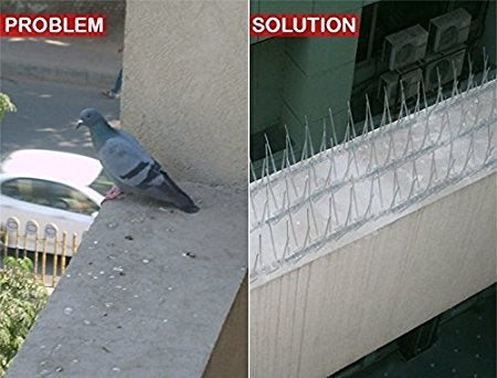 SpikeZone - Bird Spikes - Pigeon Control Spikes (Bird Spikes 5 Pcs, Transparent) - Image 2