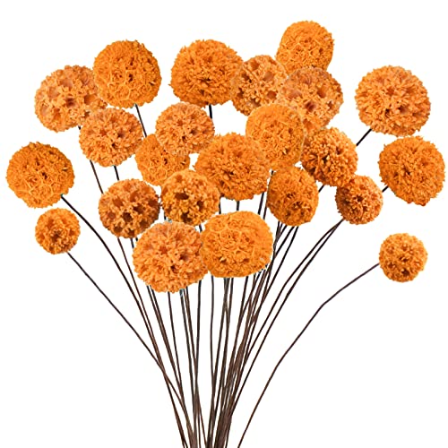 Phliofd 24 PCS Dried Craspedia Billy Balls Flowers 18 Natural Dried Flowers Bouquet for Vase Floral Arrangements Wedding Table Centerpieces Party DIY Home Decor Orange