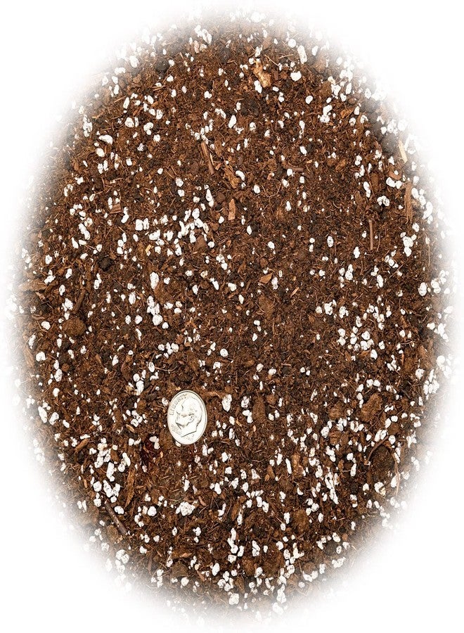 Gardenera Premium House Plant and Tropical Plant Potting Soil - Re-Potting Soil for All Types of Indoor House Plants - 1 Quart - Image 3