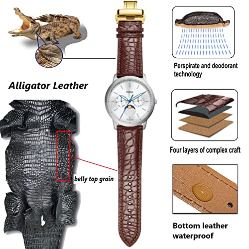 MORANO Moran Alligator Leather Watch Band Replacement Deployment Butterfly Buckle 18mm 19mm 20mm 21mm 22mm 23mm 24mm Crocodile Watch strap for Men and Women (Alligator Brown-Gold Buckle, 22mm) - Image 4
