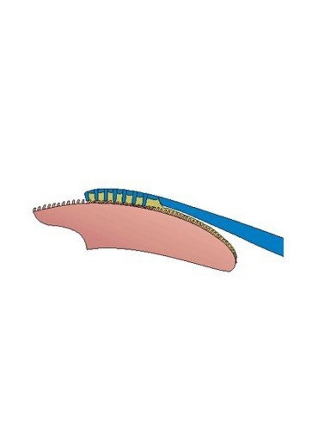 VeriFresh Tongue Cleaner- Fresh Breath Remedy - Image 3