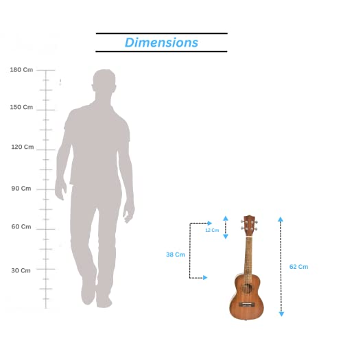 BLUEBERRY UK-20 Concert Ukulele Body made with Sapele and Mahogany Wood Rosewood Fretboard, ABS Edage Binding with Bag and 2 Picks - 23 Inch (Naturl Brown) - Image 3