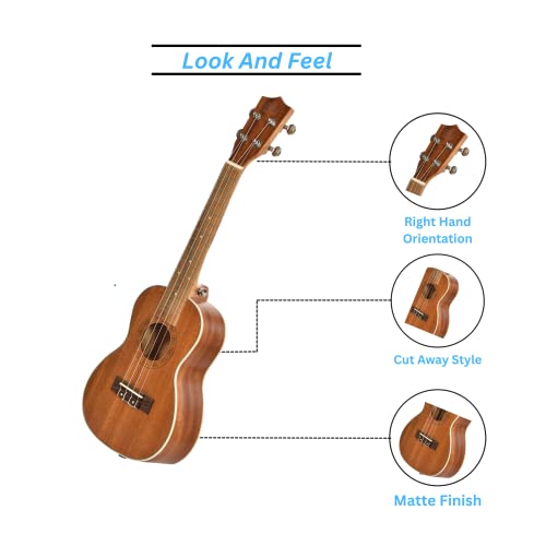 BLUEBERRY UK-20 Concert Ukulele Body made with Sapele and Mahogany Wood Rosewood Fretboard, ABS Edage Binding with Bag and 2 Picks - 23 Inch (Naturl Brown) - Image 5