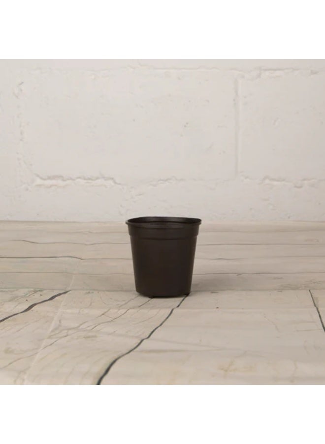 Local 8cm Round Plastic Pot