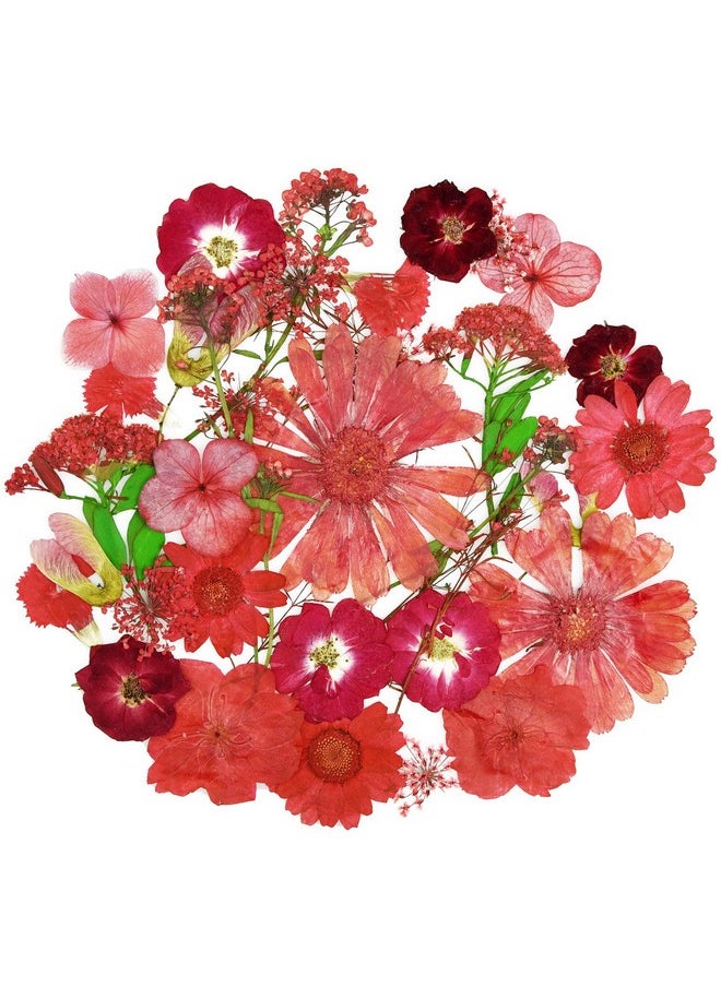 Miraclekoo - 106 Pieces Assorted Real Dried Pressed Flowers Combination Real Dried Pressed Leaves Natural Dry Flowers Leaves For Pressed Leaf Art Resin Art Embellishment Decorations(Pink Purple Yellow Green) - Image 1