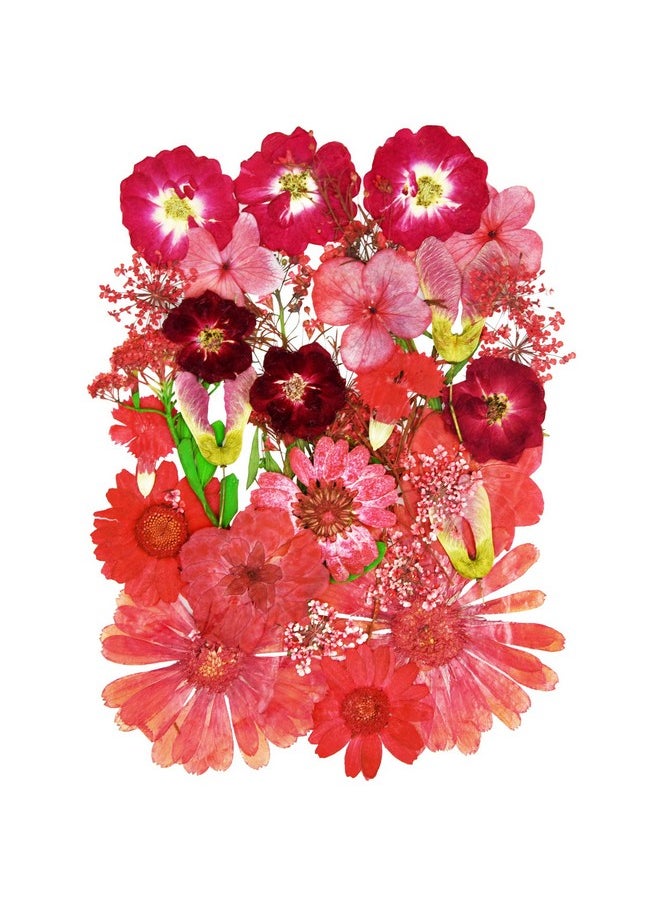 Miraclekoo - 106 Pieces Assorted Real Dried Pressed Flowers Combination Real Dried Pressed Leaves Natural Dry Flowers Leaves For Pressed Leaf Art Resin Art Embellishment Decorations(Pink Purple Yellow Green) - Image 1
