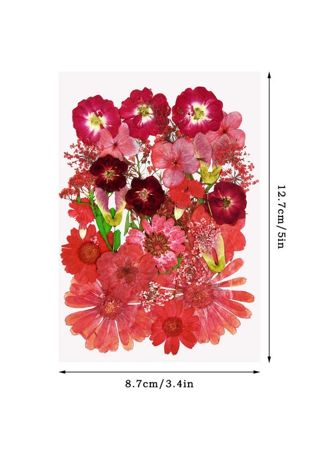 Miraclekoo - 106 Pieces Assorted Real Dried Pressed Flowers Combination Real Dried Pressed Leaves Natural Dry Flowers Leaves For Pressed Leaf Art Resin Art Embellishment Decorations(Pink Purple Yellow Green) - Image 1
