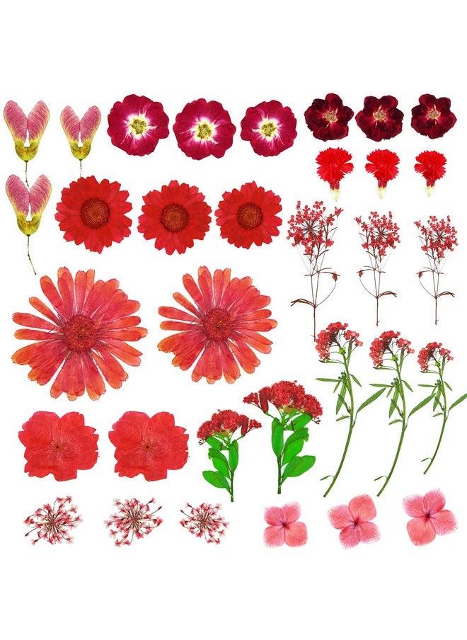 Miraclekoo - 106 Pieces Assorted Real Dried Pressed Flowers Combination Real Dried Pressed Leaves Natural Dry Flowers Leaves For Pressed Leaf Art Resin Art Embellishment Decorations(Pink Purple Yellow Green) - Image 1