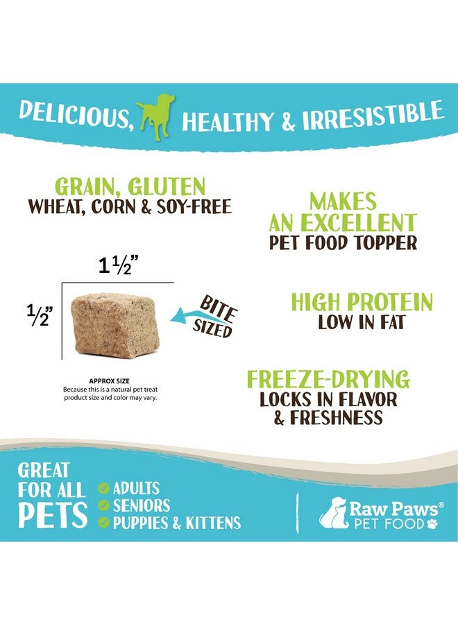 Raw Paws Freeze Dried Chicken Liver Dog Treats & Cats Treats, 4Oz  Made In Usa  Freeze Dried Liver Treats For Dogs  Dog Liver Treats  Freeze Dried Liver For Dogs  Dried Liver Dog Treats - Image 3