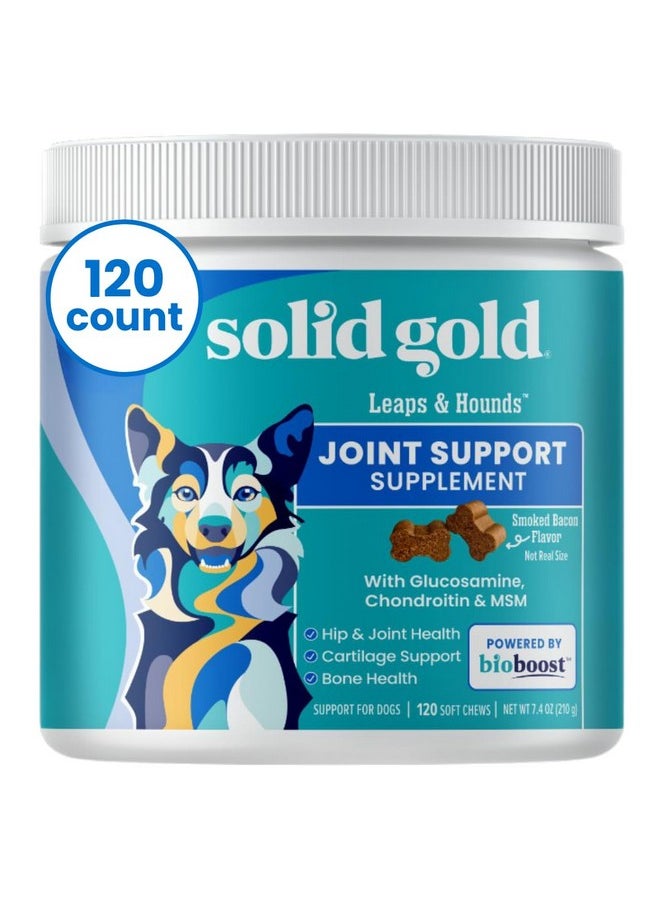 solid gold - Glucosamine For Dogs Hip And Joint Supplement  Glucosamine Chondroitin Msm For Dog Pain Relief  Leaps & Hounds Chews For Dog Arthritis Pain Relief & Overall Mobility  120 Soft Chews - Image 1