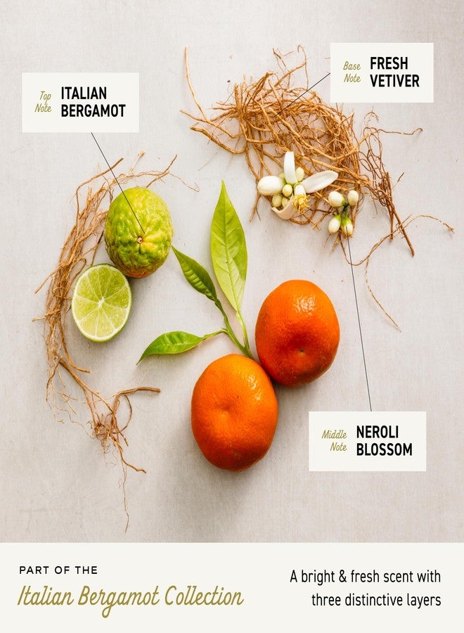 كريمو 2 في 1 شامبو وبلسم للرجال برائحة البرغموت الإيطالي، بنفحات من البرغموت الإيطالي وزهر النيرولي ونجيل الهند المنعش، 16 أونصة سائلة - Image 3