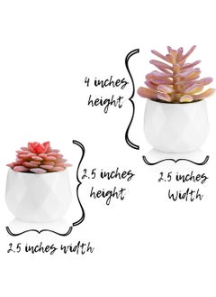 4 Pcs Artificial Succulent Plants with Pots Pink/White - pzsku/Z58F3A83BE332FC838B9AZ/45/_/1643255128/e47ecdf7-34e3-4523-aafb-bb935f82cf69