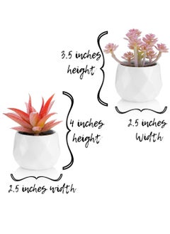 4 Pcs Artificial Succulent Plants with Pots Pink/White - pzsku/Z58F3A83BE332FC838B9AZ/45/_/1643255128/fb899e21-8b0c-4888-8f8d-4c7dbb2c23e7