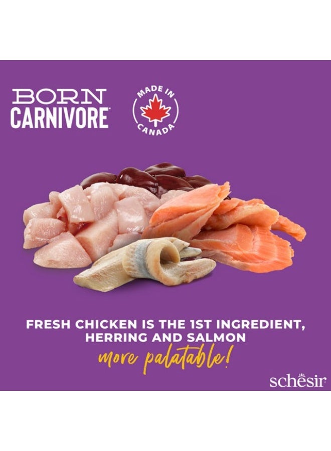 Schesir Born Carnivore Grain Free Oven Baked Dry Food [High-Protein] For Cat - Chicken with Herring & Salmon 1.25kg - Image 4