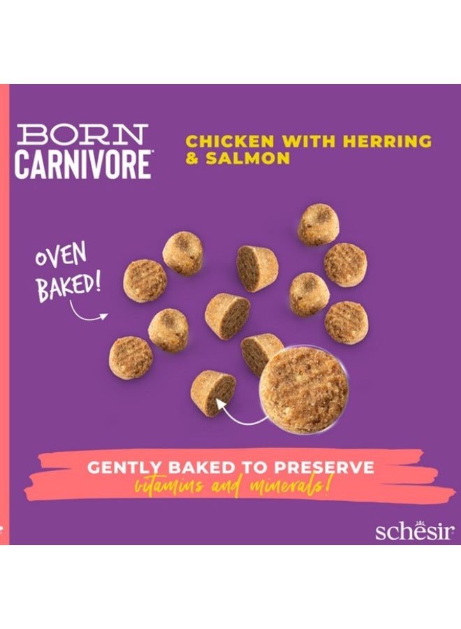 Schesir Born Carnivore Grain Free Oven Baked Dry Food [High-Protein] For Cat - Chicken with Herring & Salmon 1.25kg - Image 5