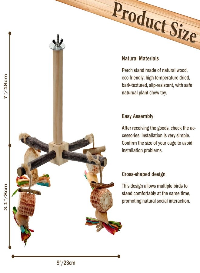 Mounting UP 2-Pack 360° Rotating Parrot Perch Toy with Chew Toy, Natural Wooden Perch Stand, Bird Cage Accessory with Exercise Wheel for Small & Medium Birds Like Parrot Finches Muscicapidae etc, US - Image 2