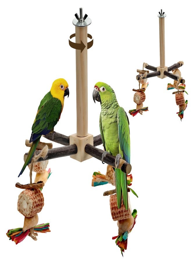 Mounting UP 2-Pack 360° Rotating Parrot Perch Toy with Chew Toy, Natural Wooden Perch Stand, Bird Cage Accessory with Exercise Wheel for Small & Medium Birds Like Parrot Finches Muscicapidae etc, US - Image 1
