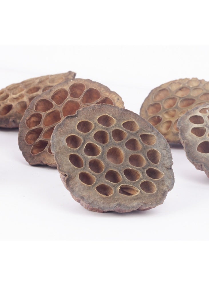 الواحة-TH 10 قطع من رؤوس زهرة اللوتس الطبيعية المجففة لتزيين المنزل، مقاس 7-9 سم - Image 4