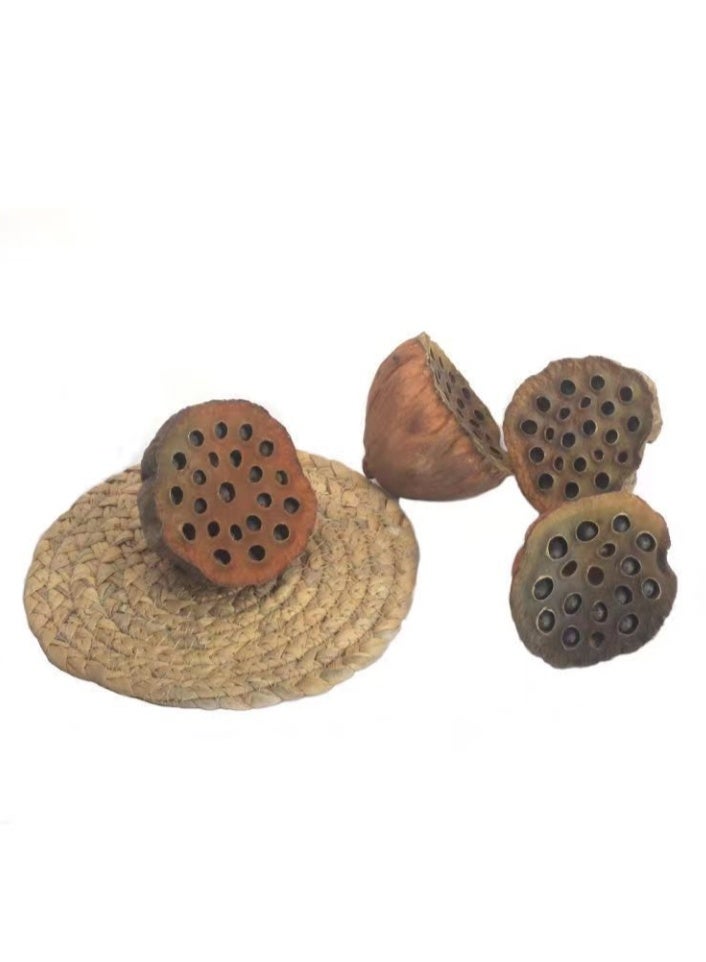 الواحة-TH 10 قطع من رؤوس زهرة اللوتس الطبيعية المجففة لتزيين المنزل، مقاس 7-9 سم - Image 3