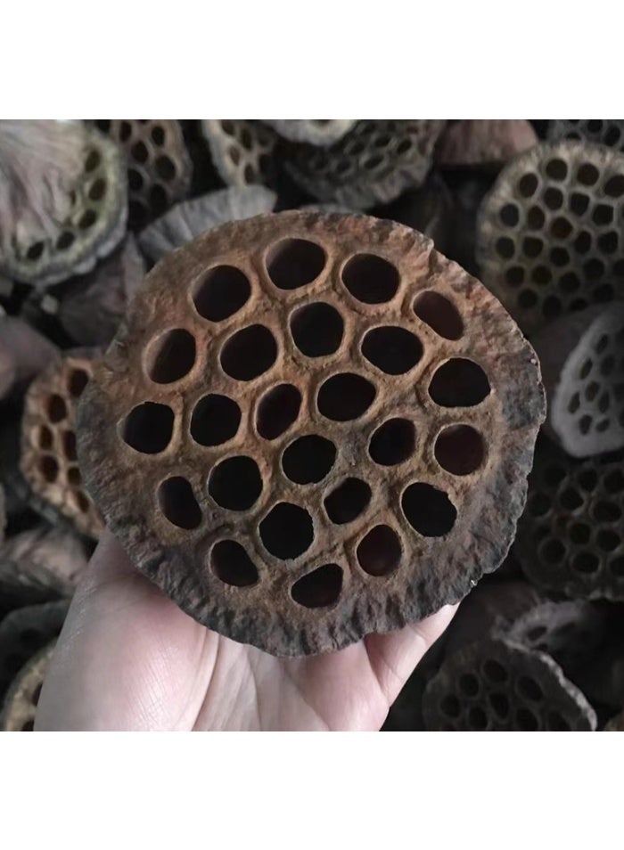 الواحة-TH 10 قطع من رؤوس زهرة اللوتس الطبيعية المجففة لتزيين المنزل، مقاس 7-9 سم - Image 2