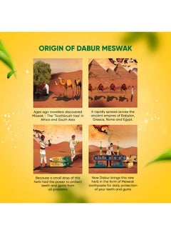 Dabur Meswak Complete Oral Care Toothpaste - 500G (2 X 200G + 1 X100G) | Complete Oral & Gum Care Toothpaste | Contains Pure & Rare Miswak Extract | No Added Fluoride, Paraben, Triclosan & Formalin  - Image 3
