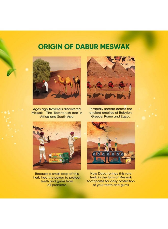 Dabur معجون أسنان مسواك للعناية الفموية الشاملة - 500 غ (2 × 200 غ + 1 × 100 غ) | معجون أسنان للعناية الفموية واللثة الشاملة | يحتوي على مستخلص المسواك النقي والنادر | خالي من الفلورايد والبارابين والتريكلوسان والفورمالين - Image 3