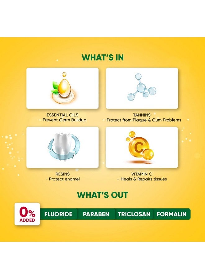 Dabur معجون أسنان مسواك للعناية الفموية الشاملة - 500 غ (2 × 200 غ + 1 × 100 غ) | معجون أسنان للعناية الفموية واللثة الشاملة | يحتوي على مستخلص المسواك النقي والنادر | خالي من الفلورايد والبارابين والتريكلوسان والفورمالين - Image 5