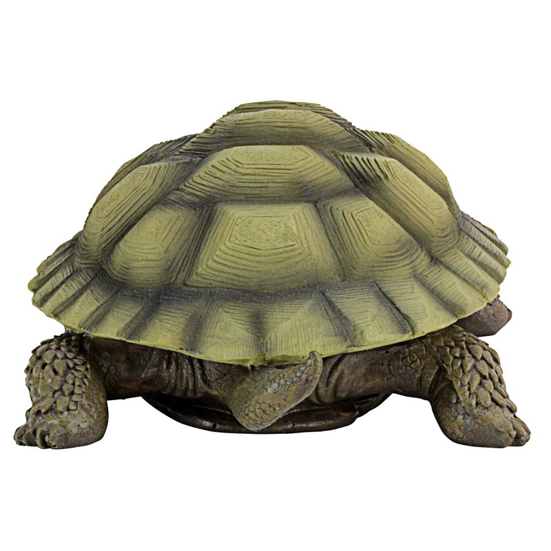 Design Toscano QM1887611 Gilbert the Box Turtle Garden Decor Animal Statue, 9 Inch, Full Color - Image 5