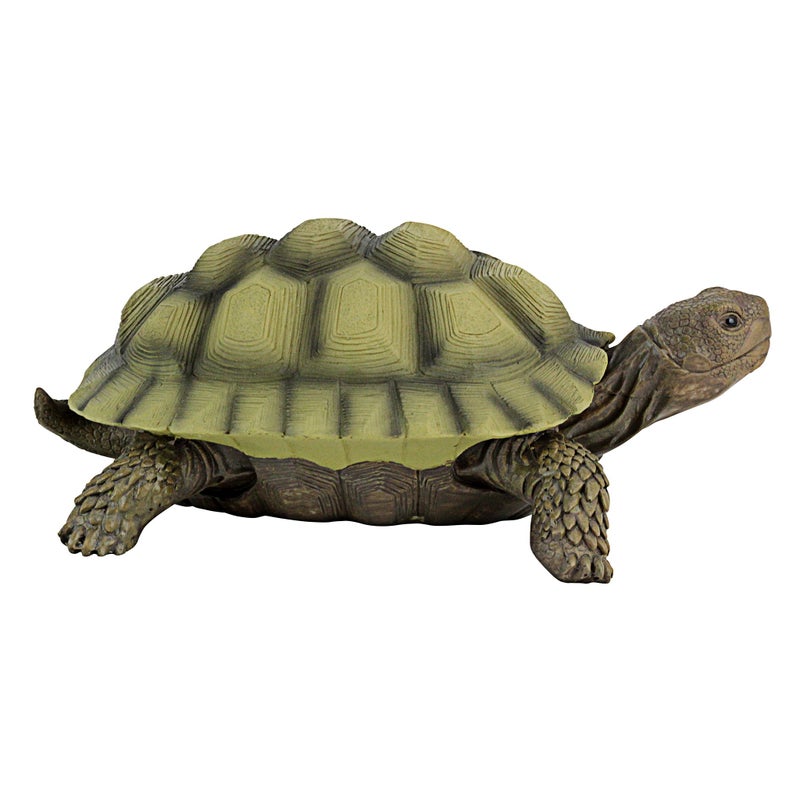 Design Toscano QM1887611 Gilbert the Box Turtle Garden Decor Animal Statue, 9 Inch, Full Color - Image 4