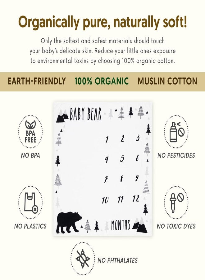 Pondering Pine Organic Baby Monthly Milestone Blanket Boy - Baby Bear Blanket Months with Frame and Newborn Announcement Disc - Baby Boy Age Blanket for 1-12 Month Milestones, 47”x47” - Image 3