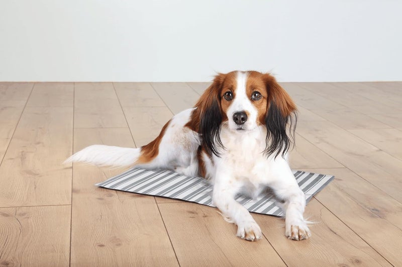 Trixie , Germany Cooling Mat for Pets (65 x 50 cm), Grey, Large, 349 Gram (28773) - Image 5