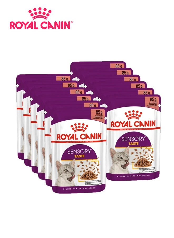 ROYAL CANIN طعام رطب بنكهة الحسية للقطط من شركة فيلين هيلث نيوتريشن - 85 جرام (عبوة من 12 قطعة) 