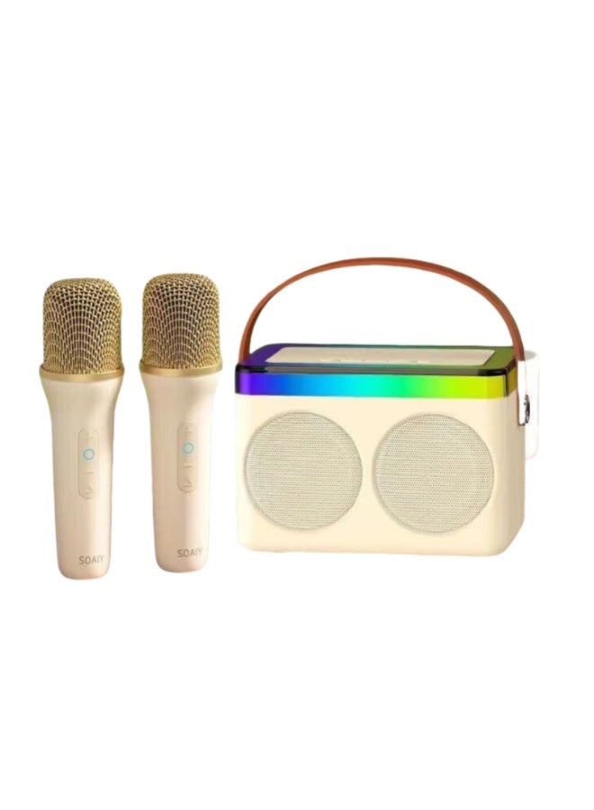 EBMINI Microphone Bluetooth Speaker With Microphone Singing Speaker All-In-One Machine