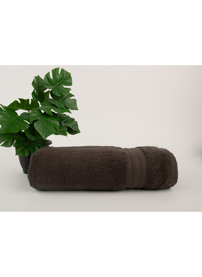 Towel MAJESTY S - 700 GSM - 100% Cotton Terry -Bath Sheet 80x160 cm-Premium Touch-Quick Dry - Super Absorbent-Chocolate - pzsku/Z58FF322FD90087652E38Z/45/_/1718005832/3b554bc3-d6ed-4f88-bdec-5ebcb99ae68e