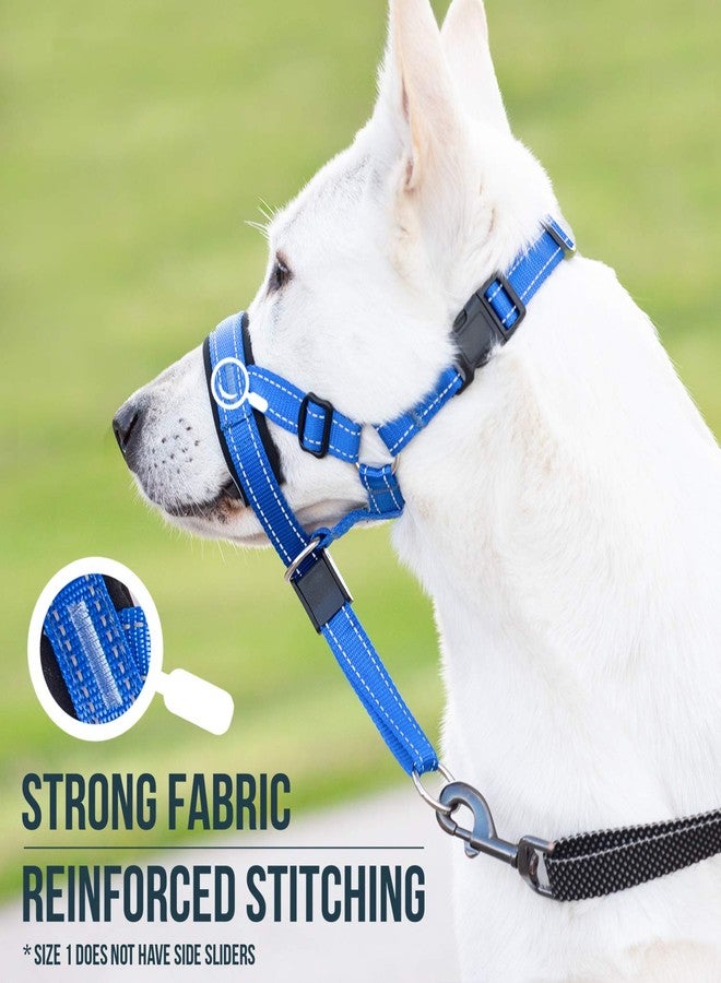 GoodBoy Dog Head Halter with Safety Strap - Stops Heavy Pulling On The Leash - Padded Headcollar for Small Medium and Large Dog Sizes - Head Collar Training Guide Included (Size 1, Blue Nylon) - Image 4