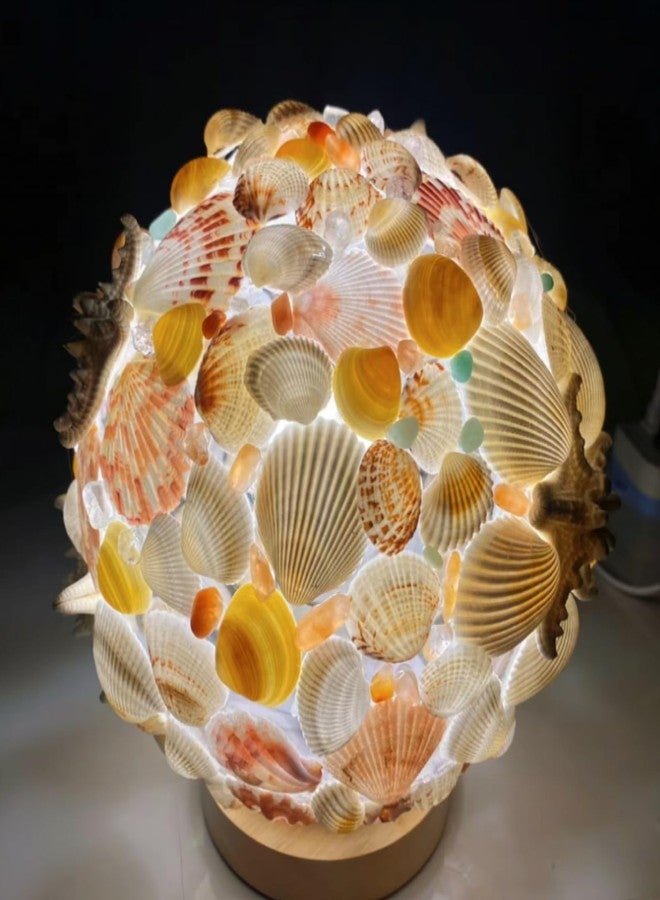 ASBEFORE 30Pcs Sea Shells 2''-3'' Natural Scallop Crafts - Seashells DIY Crafts Seashell Beach Decorating Painting Ocean Themed Party Wedding Shell Bowl Shell Jewelry Holder - Image 5