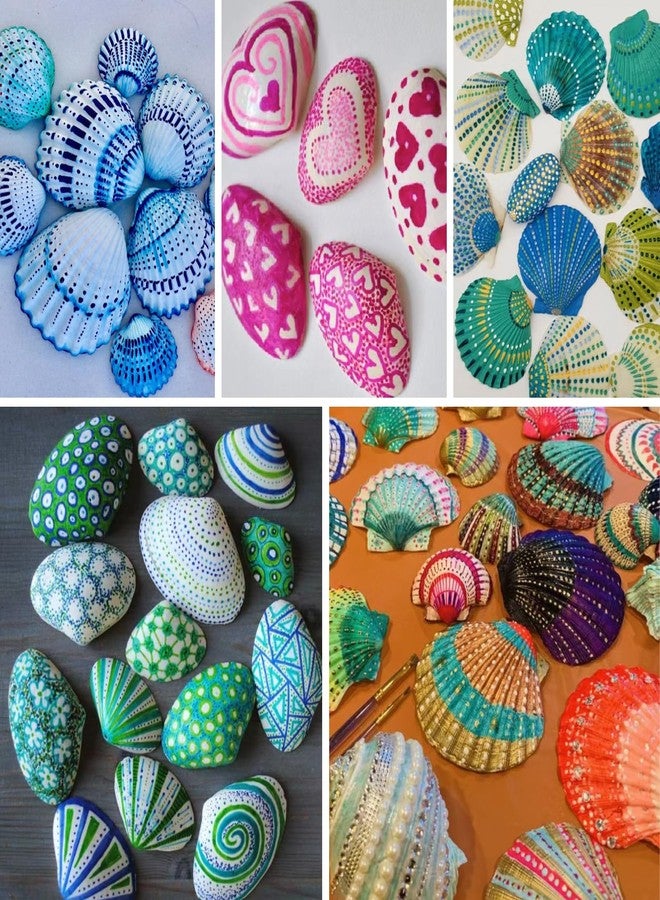 ASBEFORE 30Pcs Sea Shells 2''-3'' Natural Scallop Crafts - Seashells DIY Crafts Seashell Beach Decorating Painting Ocean Themed Party Wedding Shell Bowl Shell Jewelry Holder - Image 3