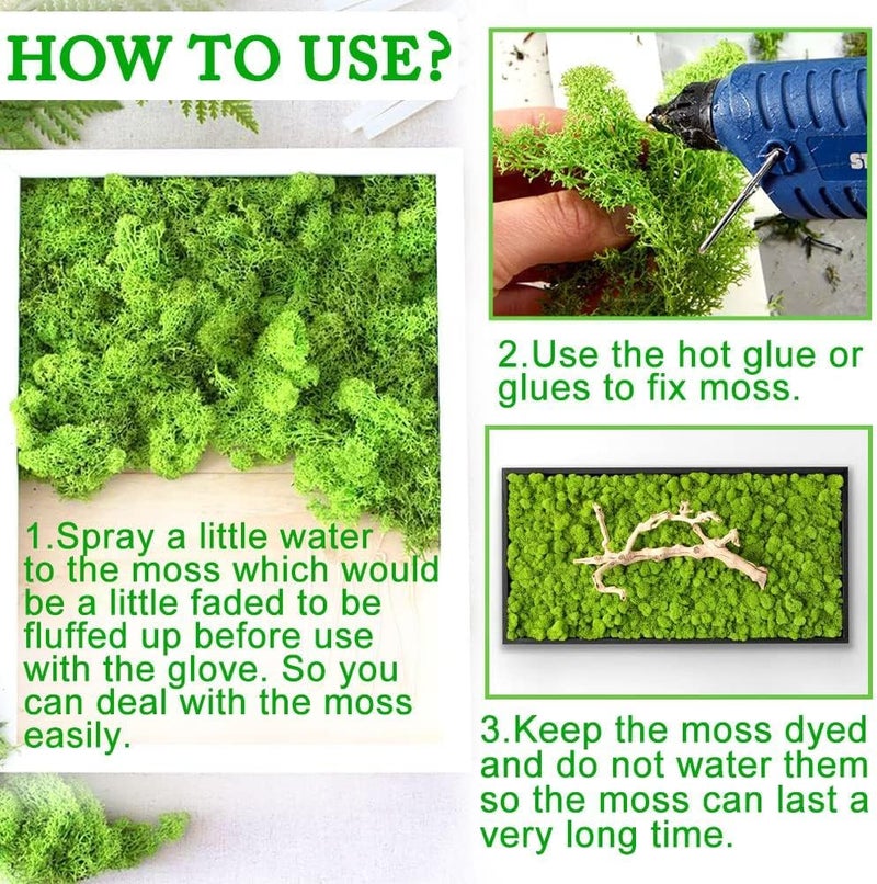 TCYPUHL Preserved Moss for Crafts Green Reindeer Moss for Potted Plants, Craft Decorative Moss Decor for Wall Art, Dried Moss(1.1 lb, Green) - Image 4