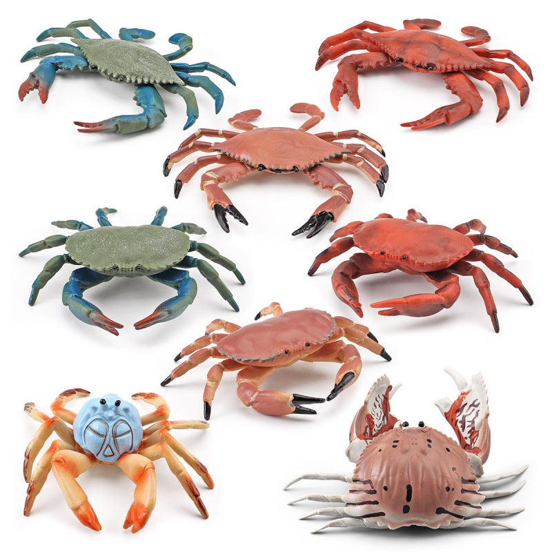 Crab Model Educational Toy Realistic Design - Durable Safe Material Ocean Life Figure for Teenagers Learning - Image 2