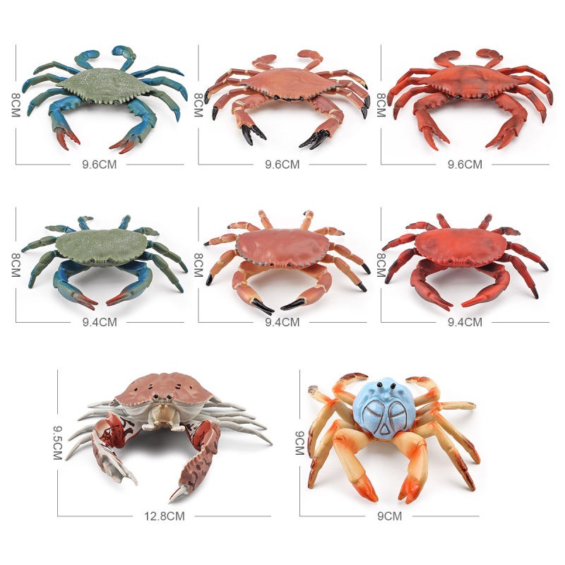 Crab Model Educational Toy Realistic Design - Durable Safe Material Ocean Life Figure for Teenagers Learning - Image 5