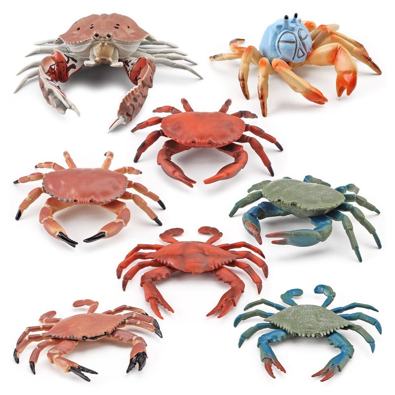 Crab Model Educational Toy Realistic Design - Durable Safe Material Ocean Life Figure for Teenagers Learning - Image 4