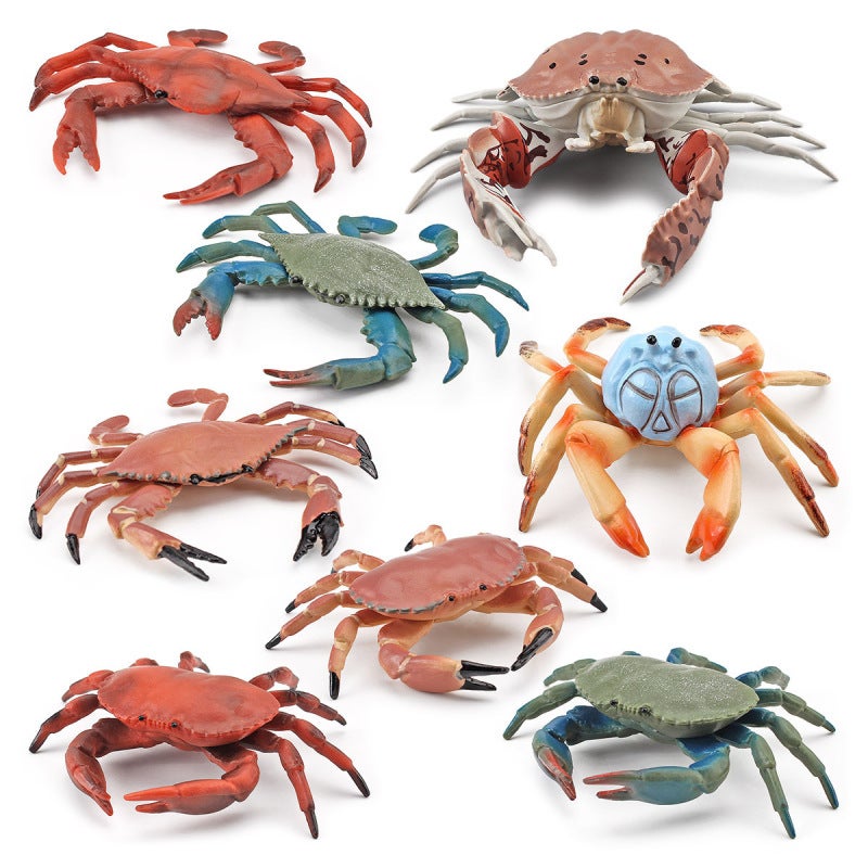 Crab Model Educational Toy Realistic Design - Durable Safe Material Ocean Life Figure for Teenagers Learning - Image 3