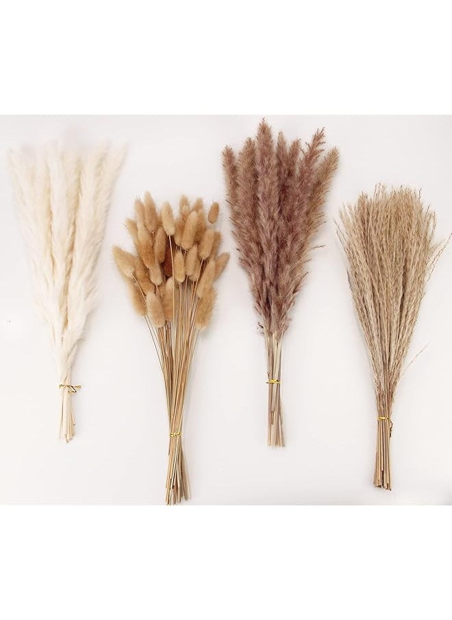 Generic Dried Pampas Grass Decor 100 Pcs Pampas Grass Contains Bunny Tails Dried Flowers Reed Grass Bouquet For Wedding Flowers Home Table Decor Rustic Farmhouse Party White And Brown  - Image 1