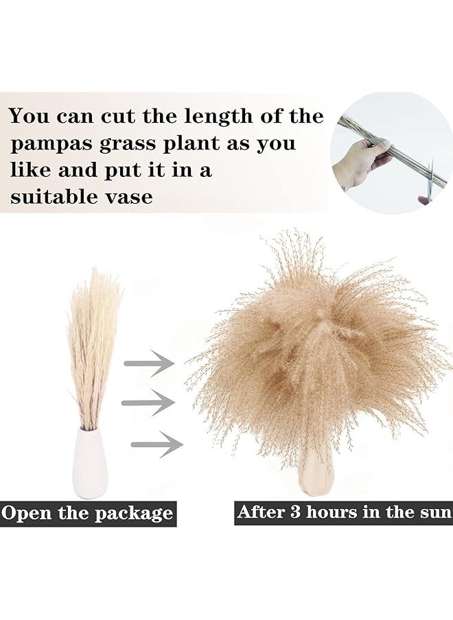 Generic Dried Pampas Grass Decor 100 Pcs Pampas Grass Contains Bunny Tails Dried Flowers Reed Grass Bouquet For Wedding Flowers Home Table Decor Rustic Farmhouse Party White And Brown  - Image 5