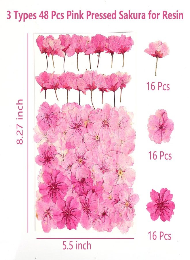 AHTONG 48 Pcs Mix Cherry Blossom Natural Dried Pressed Flowers for Cake Decorating, Real Dry Flower for Resin Jewelry Making, DIY Art Crafts - Pink Sakura… - Image 2