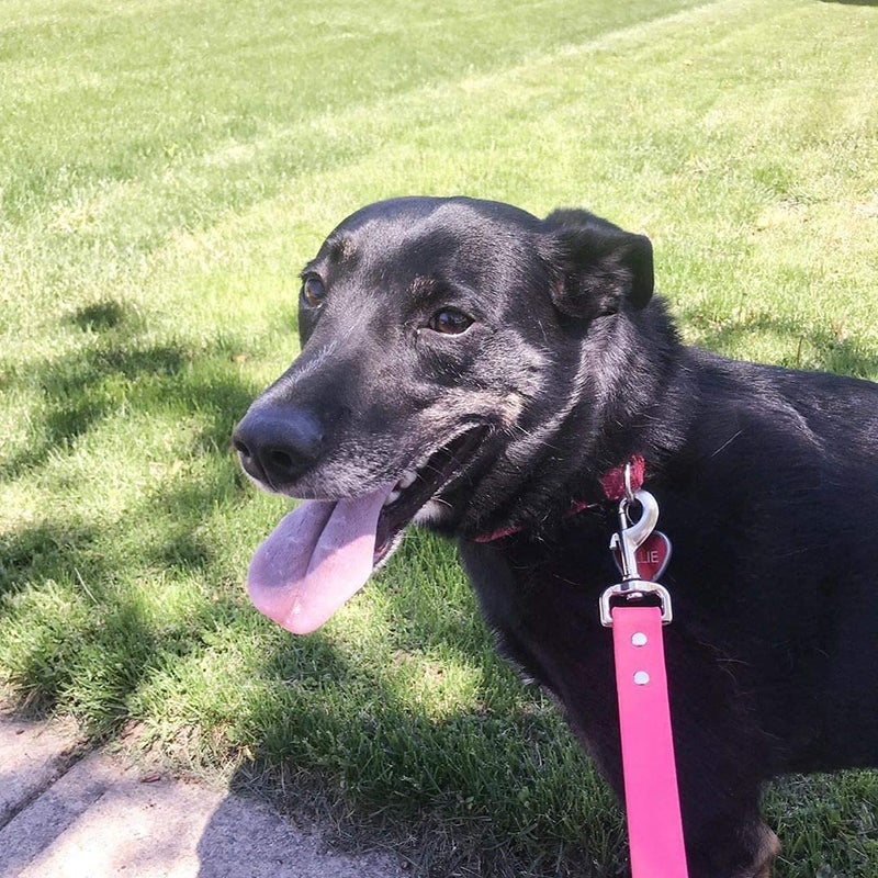 DIY Crafts 1 Antique Silver Swivel Snap Hooks Metal Heavy Duty Square Eye Clasp Buckle Trigger Clip Multi Best Spring Pet Buckle Key Chain for Linking Dog Lea 1 Antique Silver - Image 5