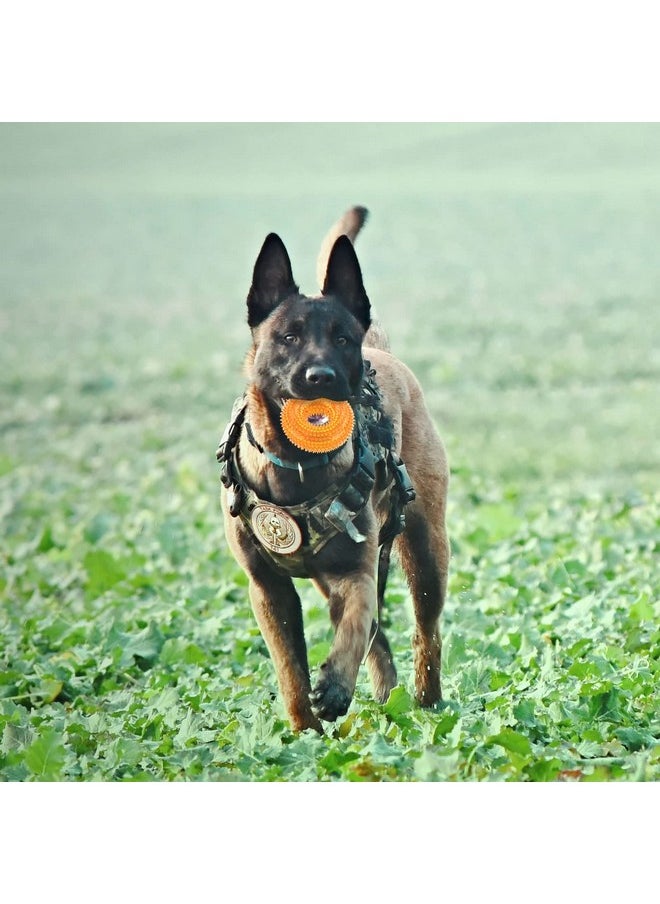 Andiker Andiker Squeaky Dog Toy - TPR Chewable Toys for Teeth Cleaning & Fetch, Suitable for All Dog Sizes, Outdoor & Indoor Use, Puppy's Gift (Large Orange)  - Image 4